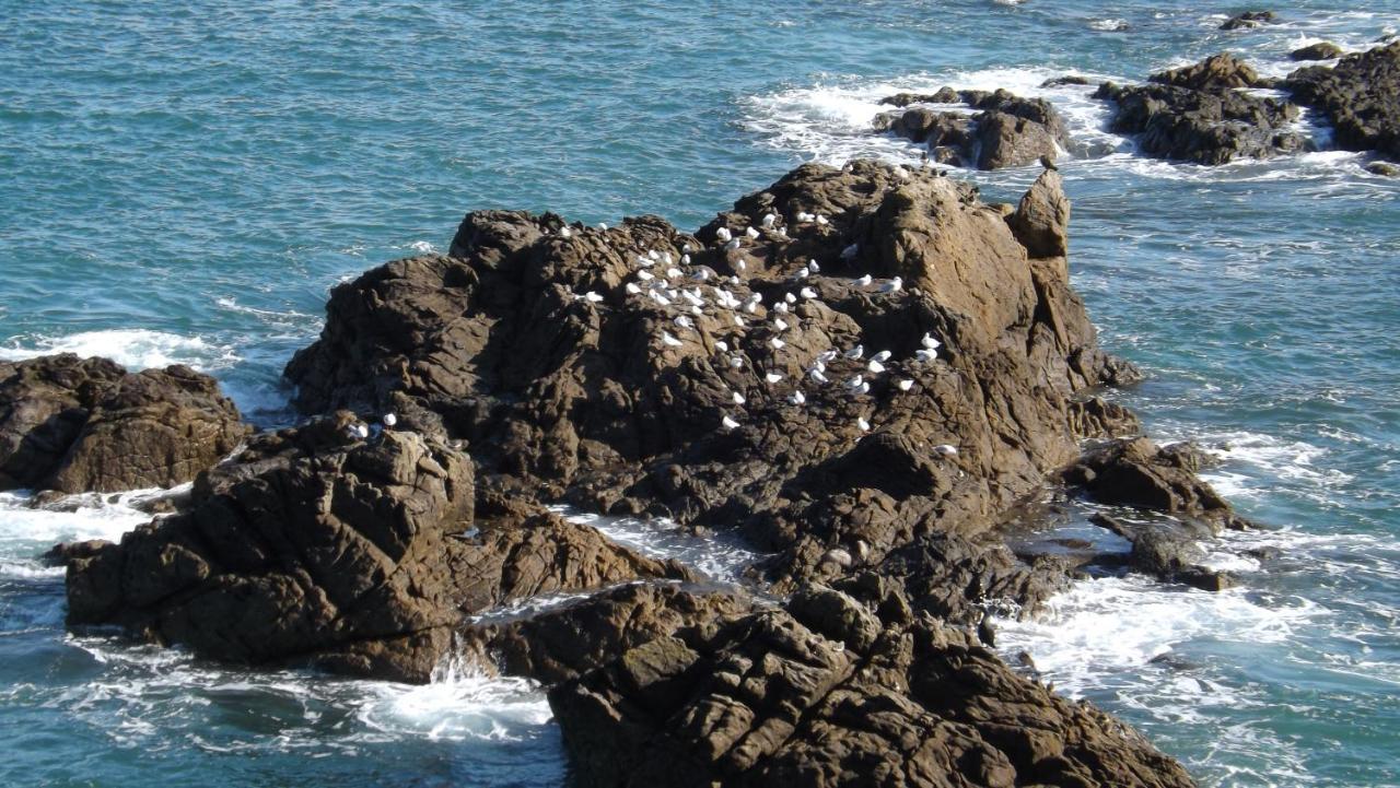 T2 ,parking Privé,terrasse, 10 Mns à Pieds De La Cité Corsaire Et Ses Plages Saint-Malo