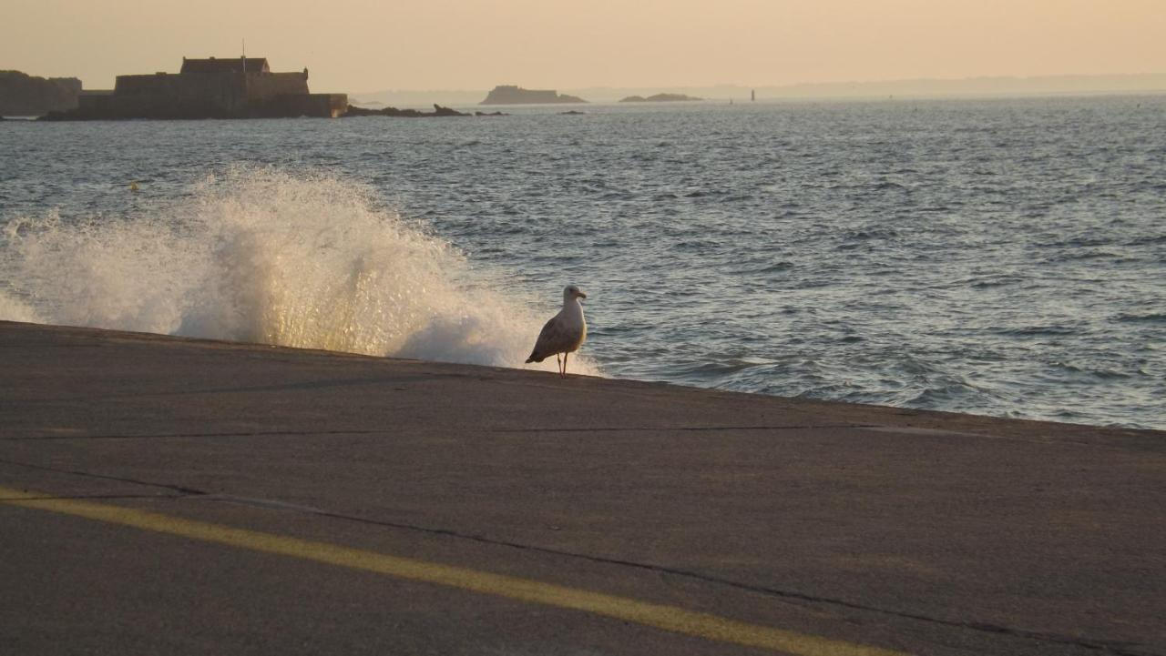 T2 ,parking Privé,terrasse, 10 Mns à Pieds De La Cité Corsaire Et Ses Plages * Saint-Malo
